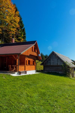 Holiday house Pokrovec - Bohinj